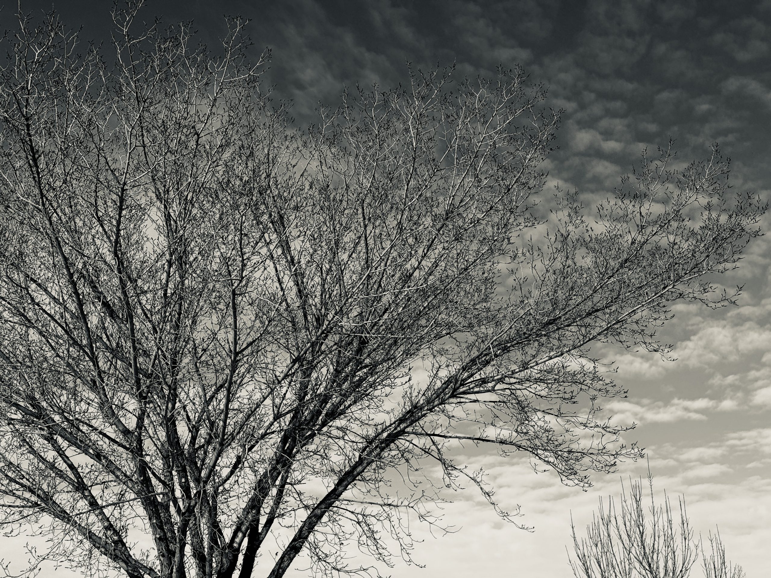 Passable Performance