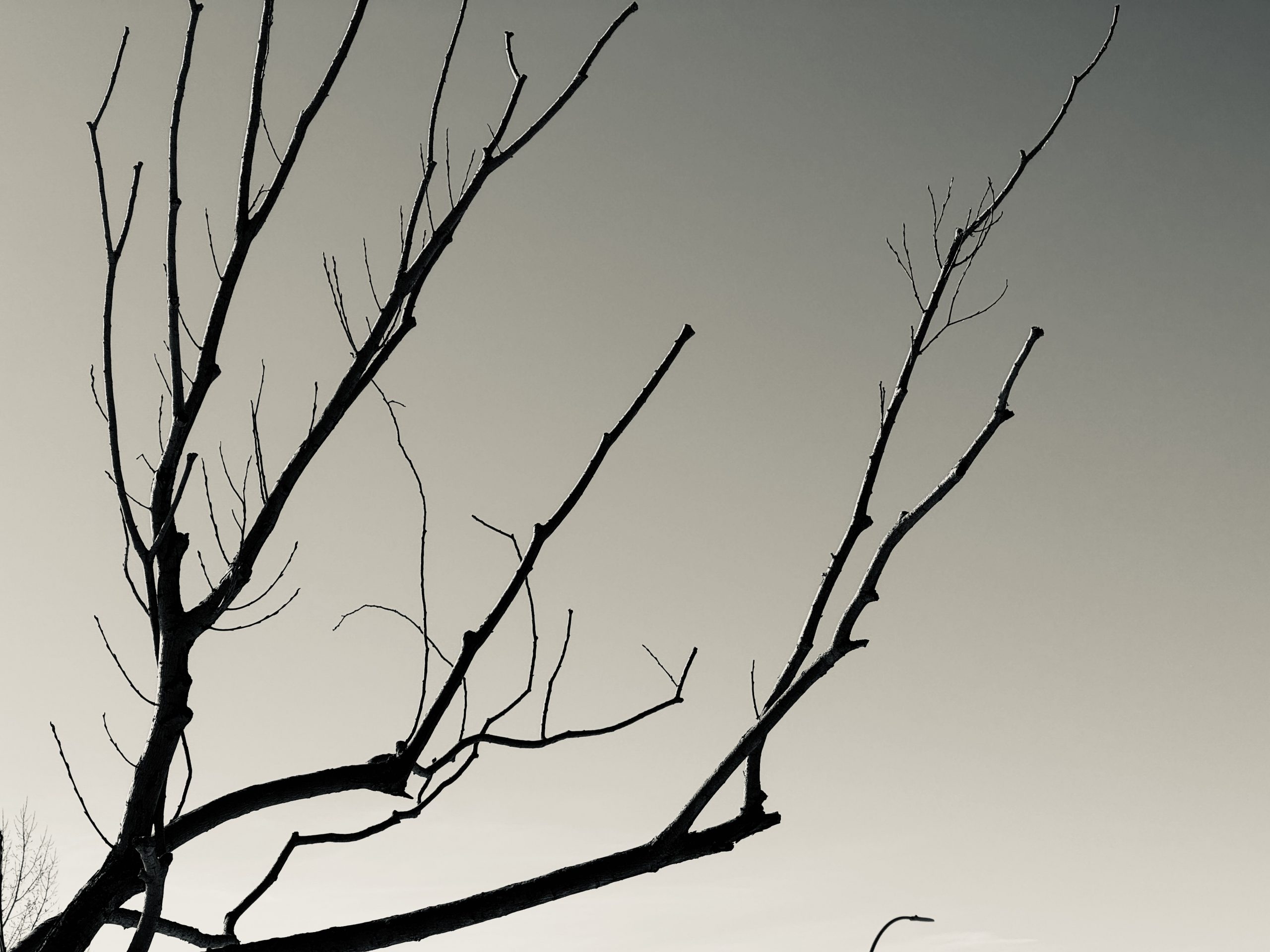 Performance Threshold