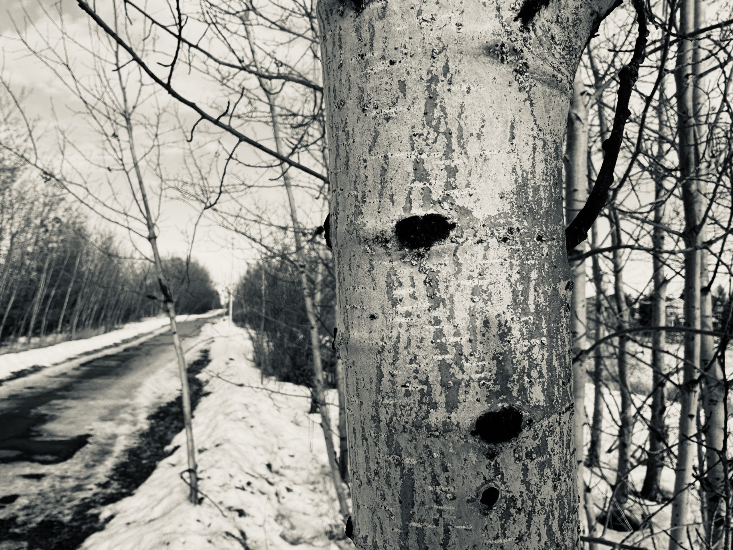 Autocorrect Coworker