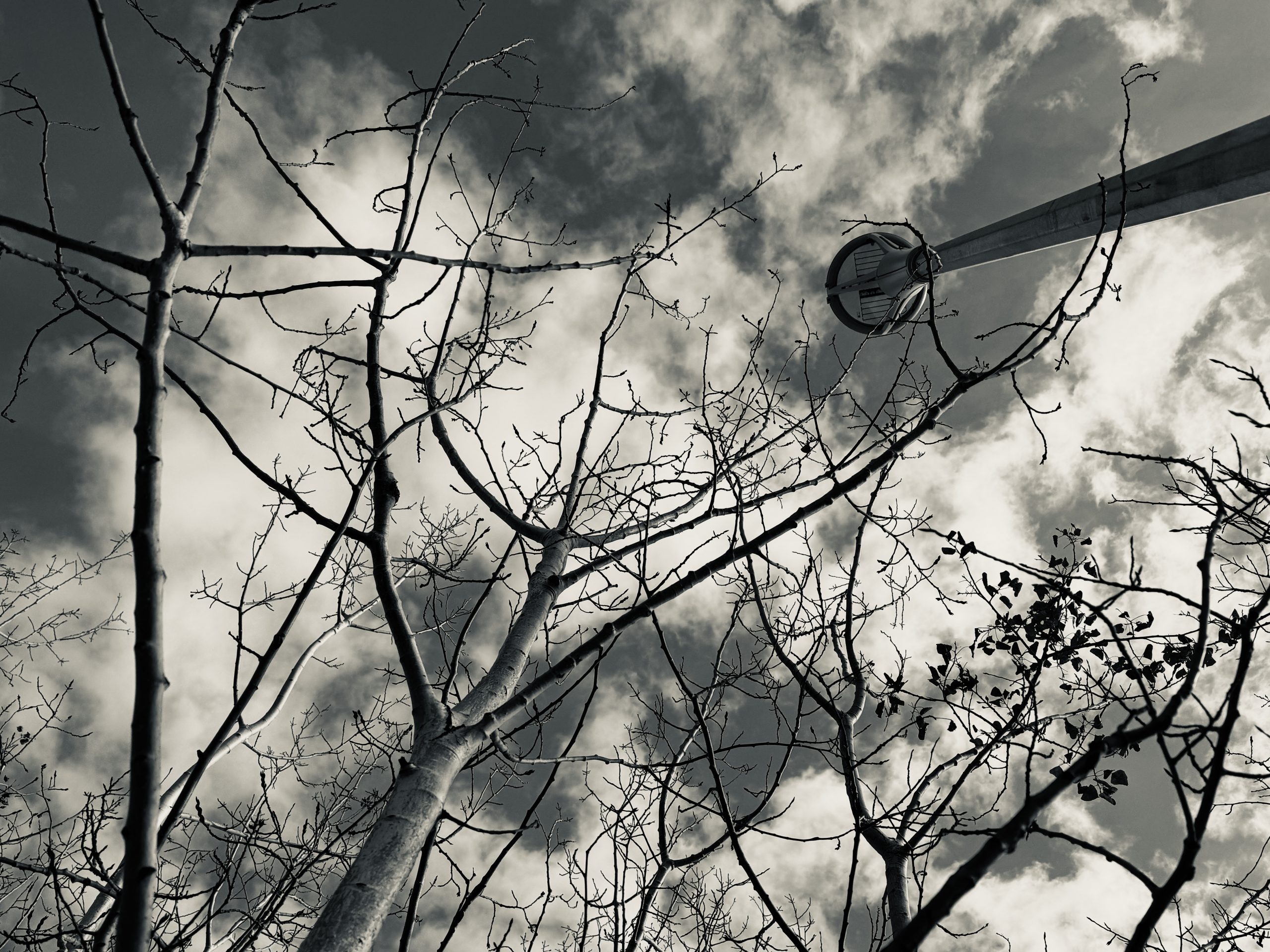 Thawed Inspiration