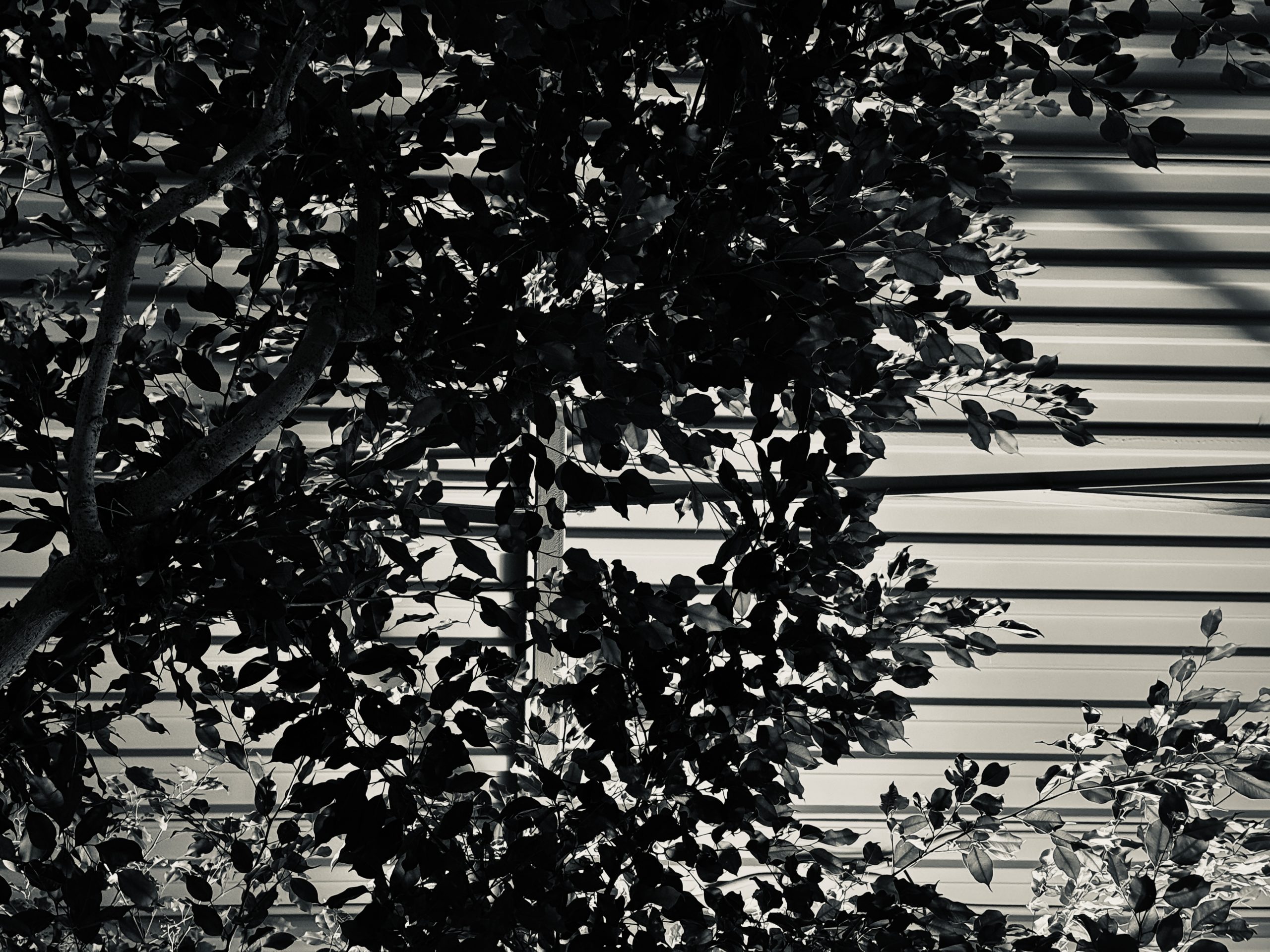 Nowhere Beyond 