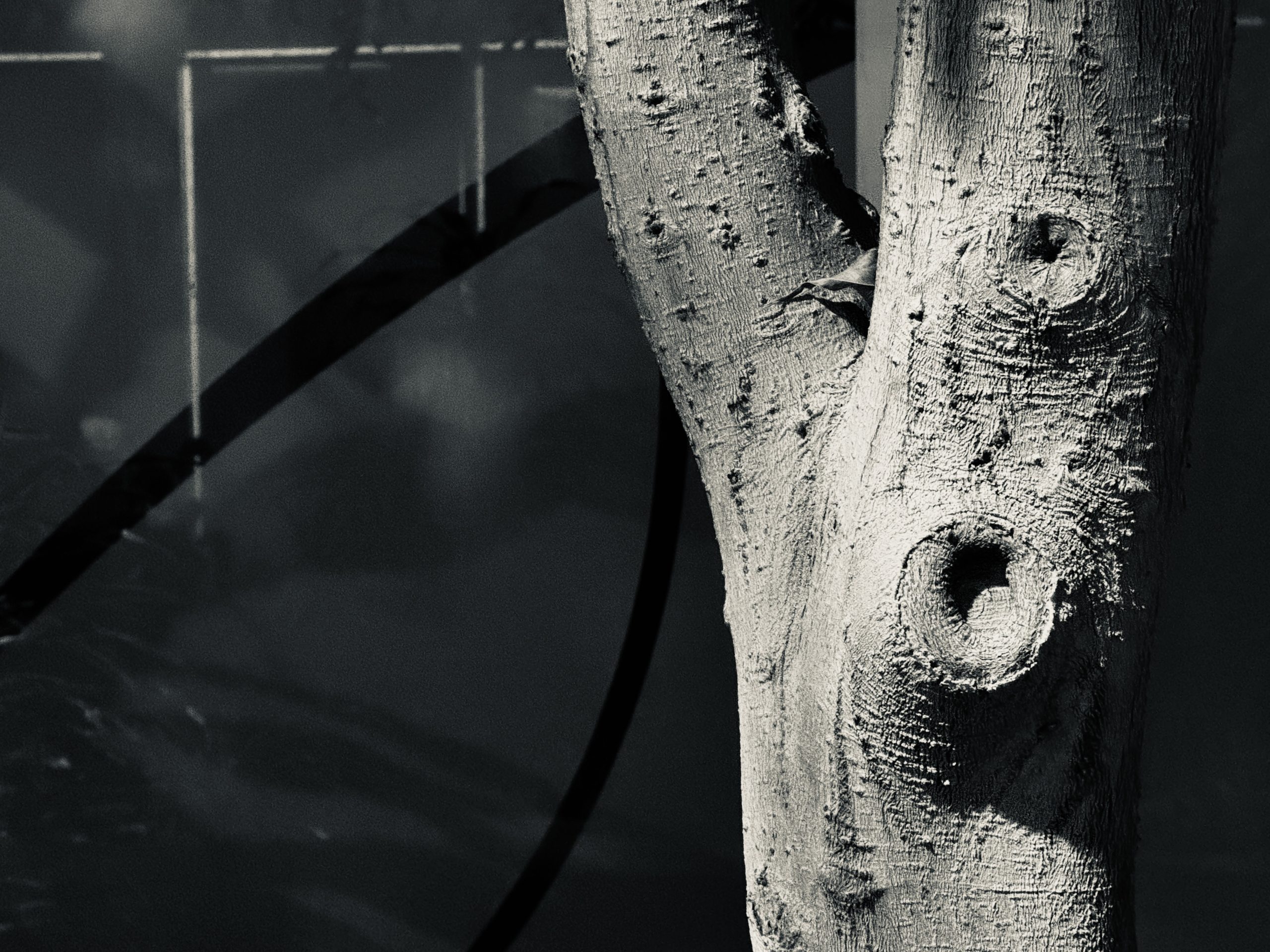 Fading Maths