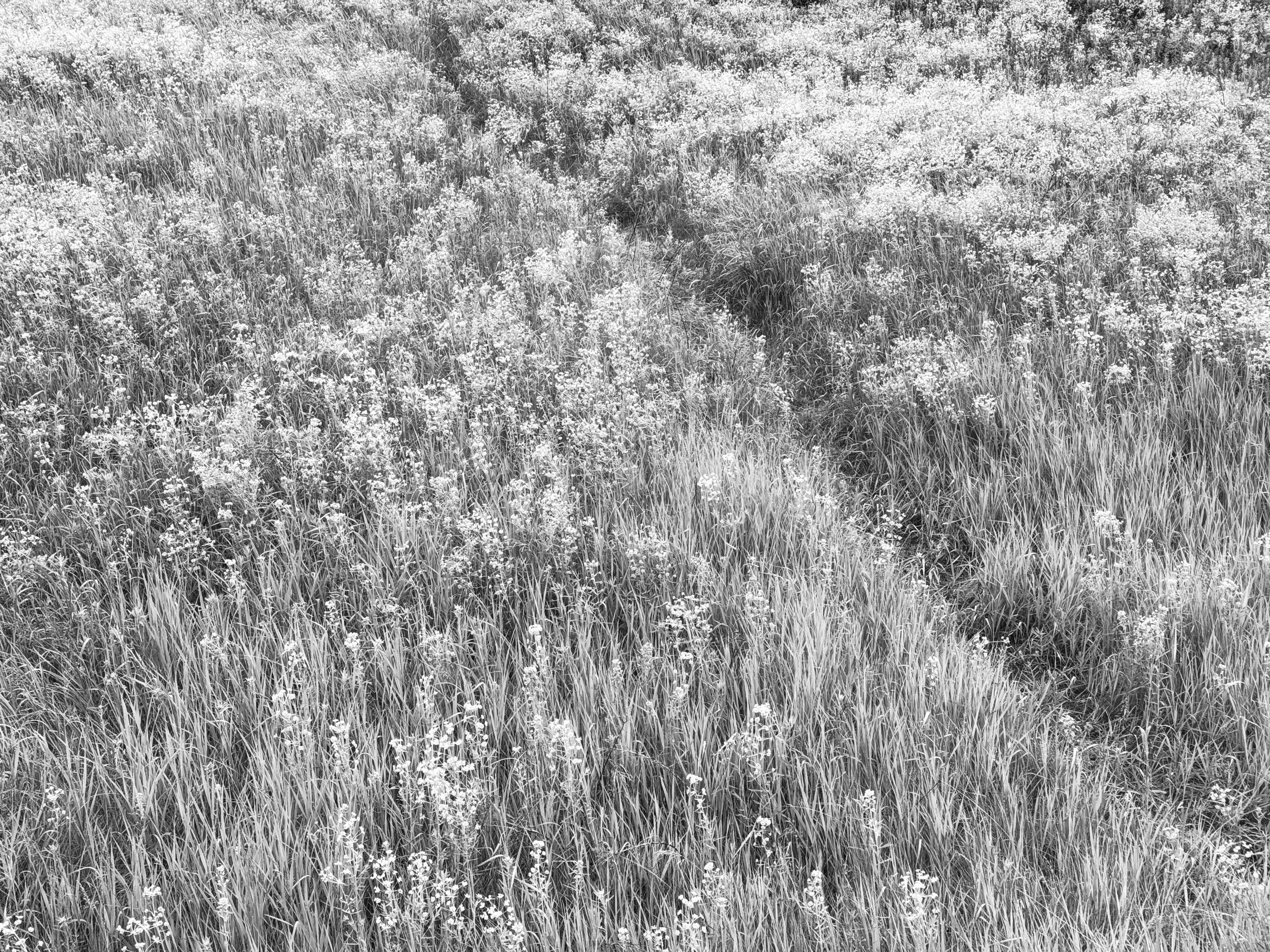 Devaluing Uncommercial